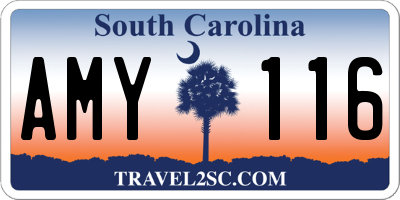 SC license plate AMY116