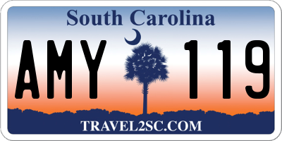 SC license plate AMY119
