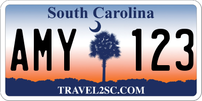 SC license plate AMY123