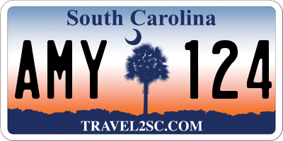 SC license plate AMY124