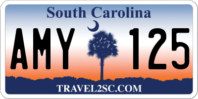 SC license plate AMY125