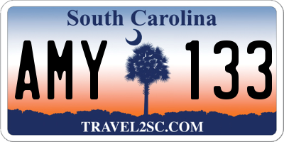 SC license plate AMY133