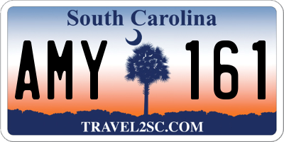 SC license plate AMY161