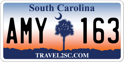 SC license plate AMY163