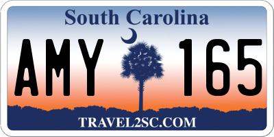 SC license plate AMY165
