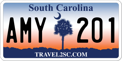 SC license plate AMY201