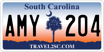 SC license plate AMY204