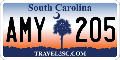 SC license plate AMY205