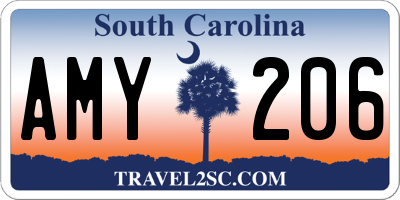 SC license plate AMY206