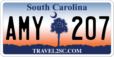 SC license plate AMY207