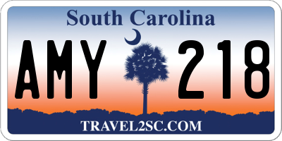 SC license plate AMY218