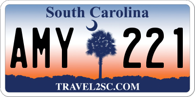 SC license plate AMY221