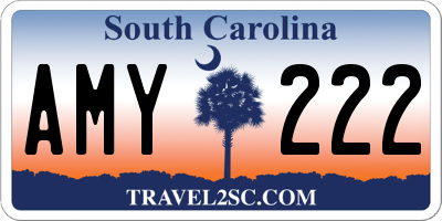 SC license plate AMY222