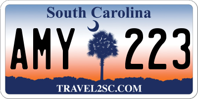 SC license plate AMY223