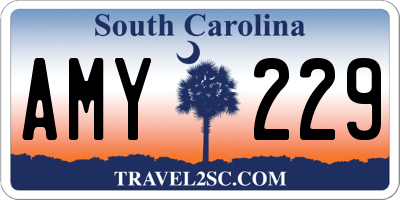 SC license plate AMY229