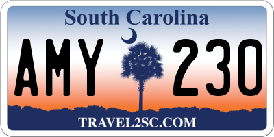 SC license plate AMY230