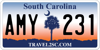 SC license plate AMY231