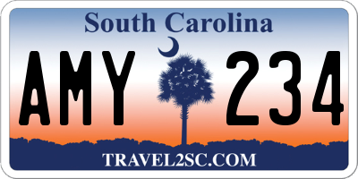 SC license plate AMY234