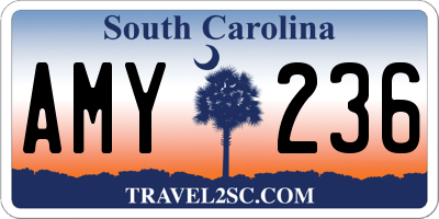 SC license plate AMY236
