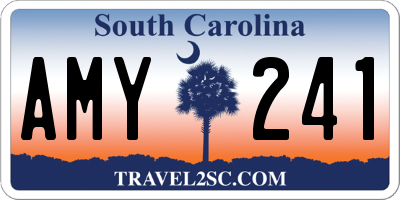 SC license plate AMY241