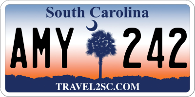 SC license plate AMY242
