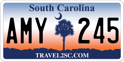 SC license plate AMY245