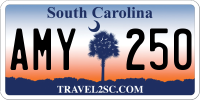 SC license plate AMY250