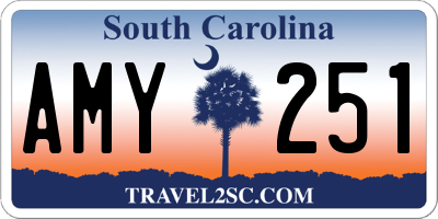 SC license plate AMY251