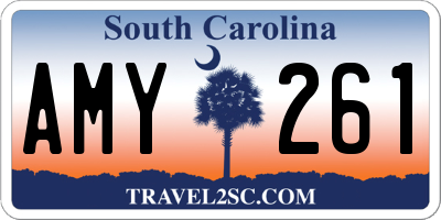 SC license plate AMY261