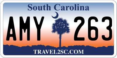 SC license plate AMY263