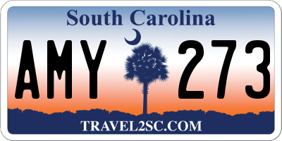 SC license plate AMY273