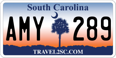 SC license plate AMY289