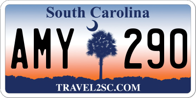 SC license plate AMY290