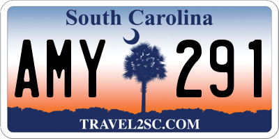 SC license plate AMY291