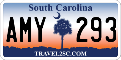 SC license plate AMY293