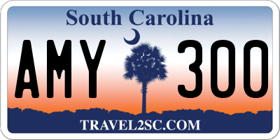SC license plate AMY300