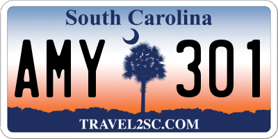 SC license plate AMY301
