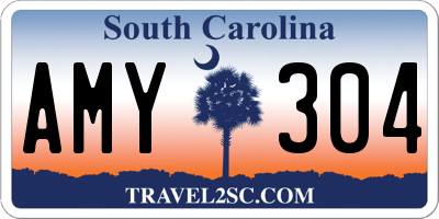 SC license plate AMY304