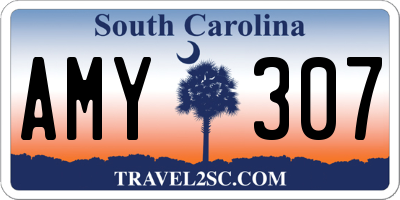 SC license plate AMY307