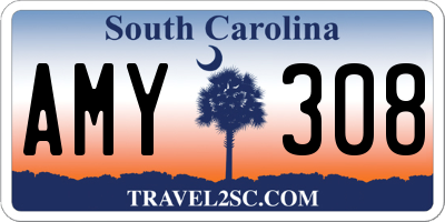 SC license plate AMY308