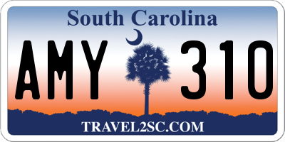 SC license plate AMY310