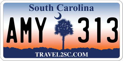 SC license plate AMY313
