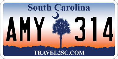 SC license plate AMY314