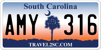 SC license plate AMY316