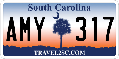 SC license plate AMY317