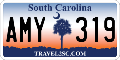 SC license plate AMY319