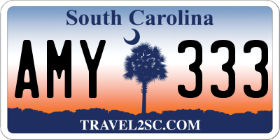 SC license plate AMY333