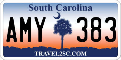 SC license plate AMY383