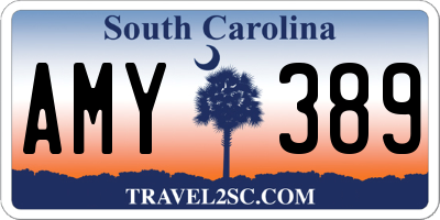 SC license plate AMY389