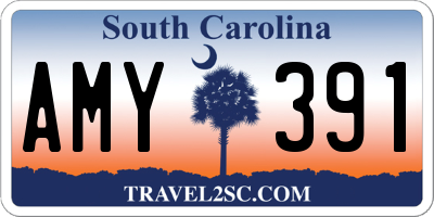 SC license plate AMY391
